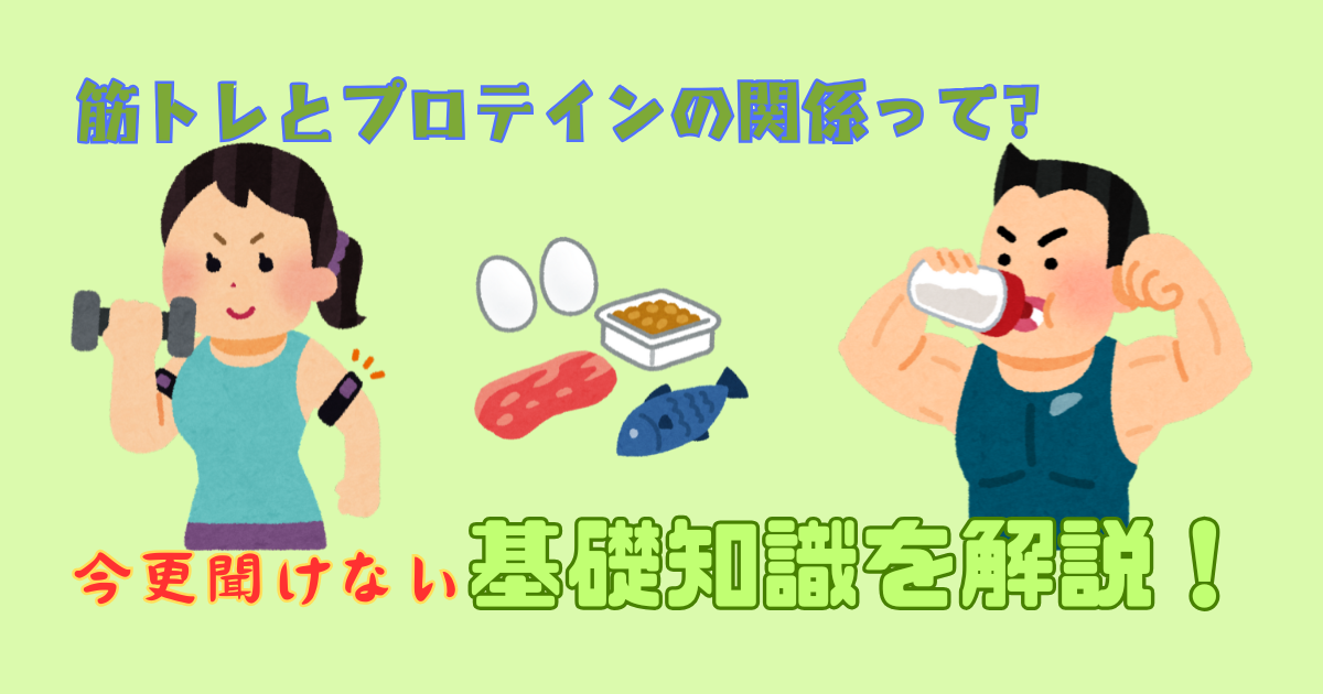 筋トレとプロテインの関係とは？