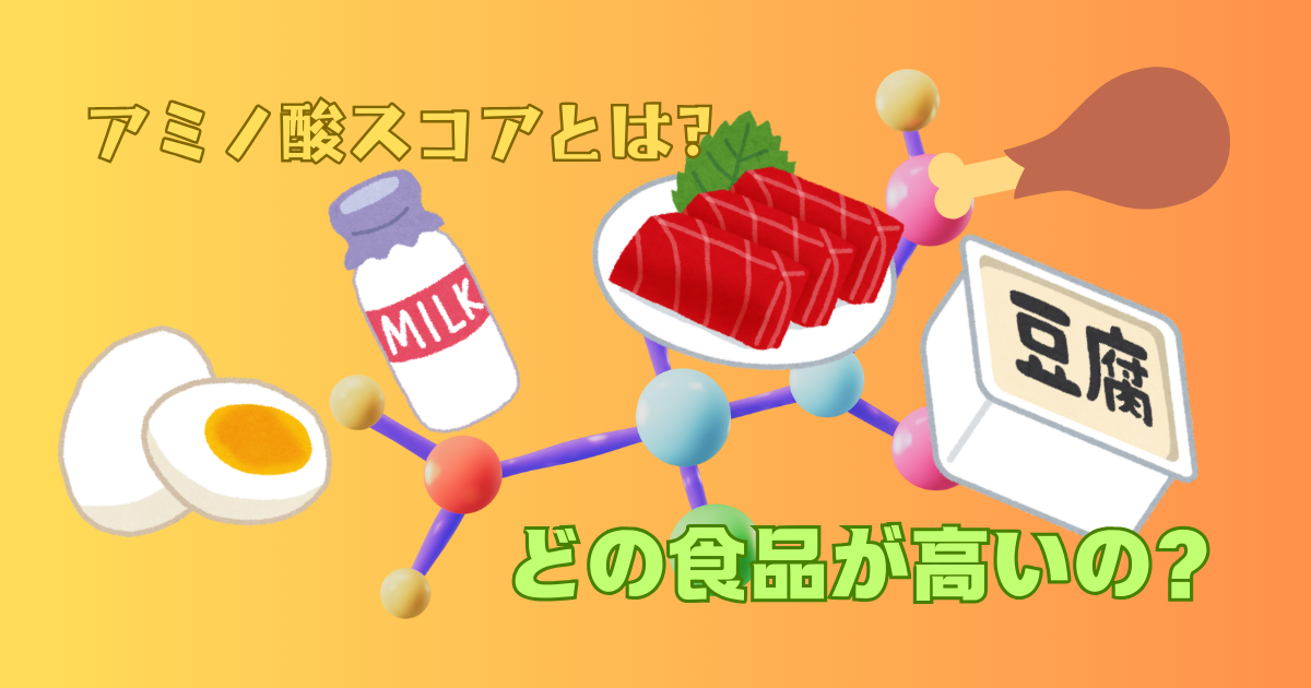 アミノ酸スコアが高い食品とは？